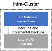 backup intra cluster